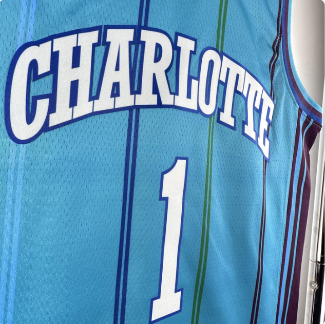 Charlotte Hornets